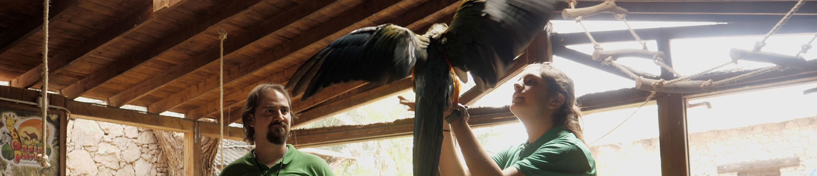 Cursos de Zoo