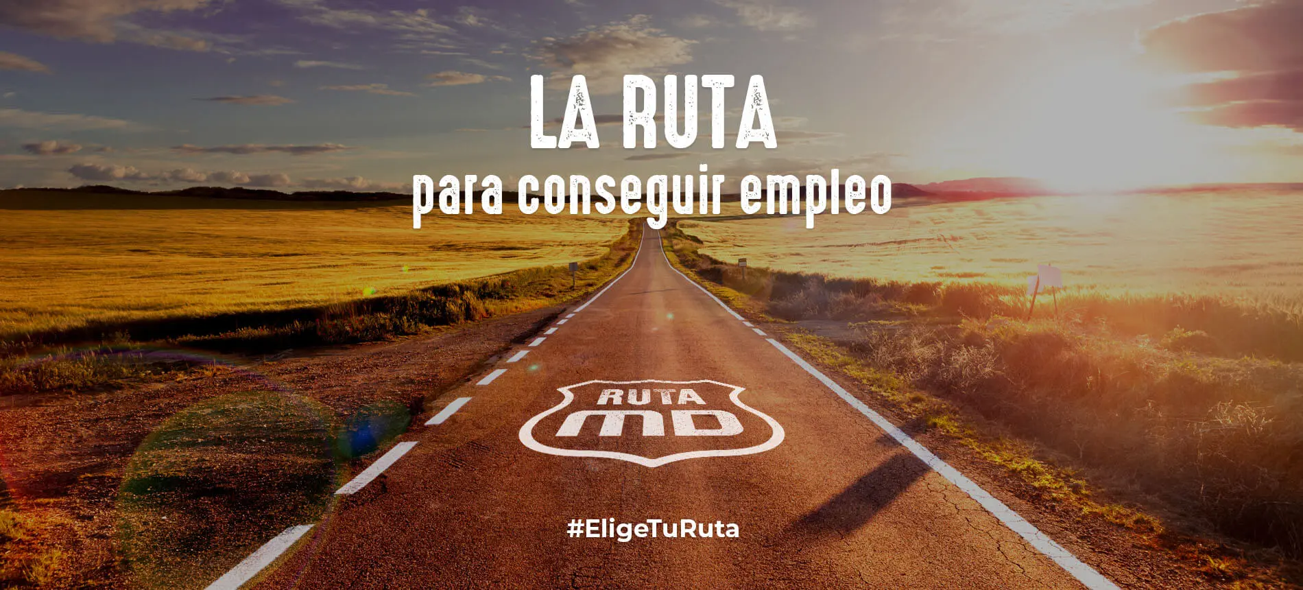 Grupo Educativo MasterD